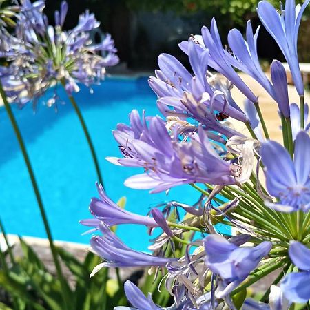 Posada Villa Club, Apart 3 Cerca Del Aeropuerto El Palomar Hurlingham Εξωτερικό φωτογραφία