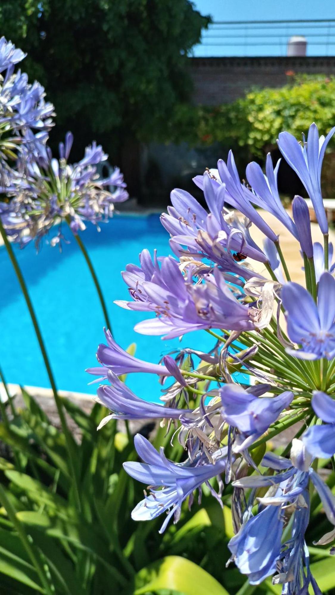 Posada Villa Club, Apart 3 Cerca Del Aeropuerto El Palomar Hurlingham Εξωτερικό φωτογραφία